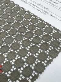 42875 Cotton/nylon Dotted Raschel Lace[Textile / Fabric] SUNWELL Sub Photo