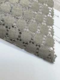 42875 Cotton/nylon Dotted Raschel Lace[Textile / Fabric] SUNWELL Sub Photo