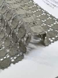 42875 Cotton/nylon Dotted Raschel Lace[Textile / Fabric] SUNWELL Sub Photo