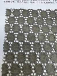 42875 Cotton/nylon Dot Raschel Lace[Textile / Fabric] SUNWELL Sub Photo