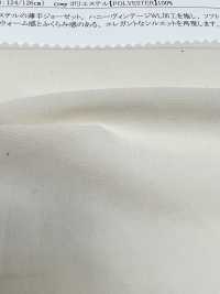 43250 Skin Georgette Honey Vintage WL[Textile / Fabric] SUNWELL Sub Photo