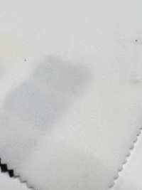 43728 LIGHT Fleece[Textile / Fabric] SUNWELL Sub Photo