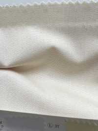 77300 Polyester/cotton Poplin[Textile / Fabric] SUNWELL Sub Photo