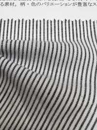 1120 40 Single Thread Combed Yarn-dyed Broadcloth Check & Stripe[Textile / Fabric] SUNWELL Sub Photo