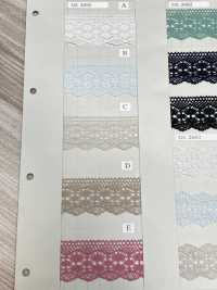 DS2682 Torsion Lace Width 32mm Daisada Sub Photo