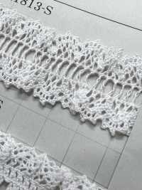 DS1813-S Stretch Lace Frill Lace Ladder Lace 23mm Daisada Sub Photo