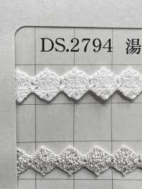 DS2794 Lame Lace Braid Width 9mm Pre-blanched[Ribbon Tape Cord] Daisada Sub Photo