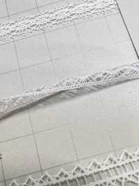 DS5258 Thin Lace Width 7mm Daisada Sub Photo