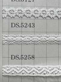 DS5243 Thin Lace Width 8mm Daisada Sub Photo