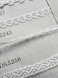 DS5243 Thin Lace Width 8mm Daisada Sub Photo