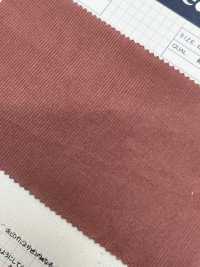 2030 22W Light Summer Corduroy[Textile / Fabric] Kumoi Beauty (Chubu Velveteen Corduroy) Sub Photo