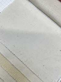 KN2030 22W Light Summer Corduroy Natural (Generate)[Textile / Fabric] Kumoi Beauty (Chubu Velveteen Corduroy) Sub Photo