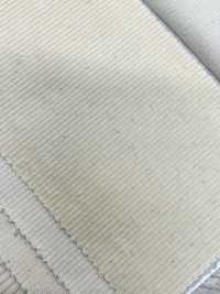 KN2150 14W Corduroy Natural (Generation)[Textile / Fabric] Kumoi Beauty (Chubu Velveteen Corduroy) Sub Photo