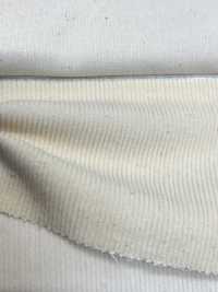 KN2150 14W Corduroy Natural (Generation)[Textile / Fabric] Kumoi Beauty (Chubu Velveteen Corduroy) Sub Photo