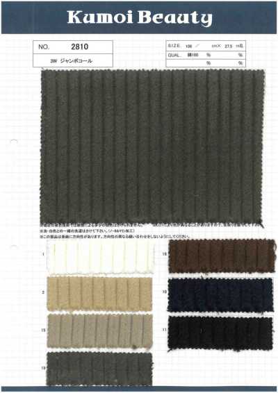 2810 3W Jumbo Corduroy