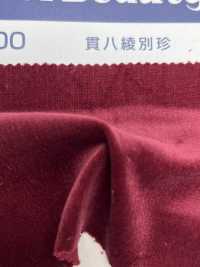 N12300 Kanpachi Twill Velveteen[Textile / Fabric] Kumoi Beauty (Chubu Velveteen Corduroy) Sub Photo