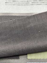 101-720800 CHORUS Ramie X SOLOTEX® Stretch Tropical[Textile / Fabric] Takisada Nagoya Sub Photo