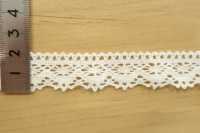 DS4220 Torsion Lace Width 21mm Pre-blanched Daisada Sub Photo