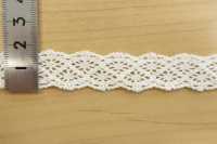 DS4166 Torsion Lace Width 18mm Daisada Sub Photo