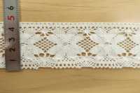 DS4192 Torsion Lace Width 46mm Daisada Sub Photo