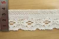 DS4129 Torsion Lace Width 38mm Daisada Sub Photo