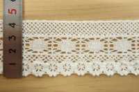 DS4130 Torsion Lace Width 43mm Daisada Sub Photo