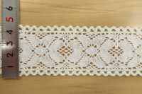 DS4121 Torsion Lace Width 45mm Daisada Sub Photo