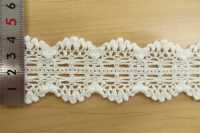 DS4119 Torsion Lace Width 42mm Daisada Sub Photo