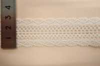 DS1557 Lace COTTON LACE Daisada Sub Photo