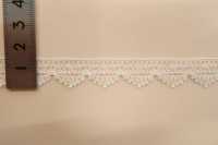 DS5067 Lace COTTON LACE Daisada Sub Photo