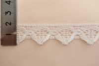 DS5154 Lace COTTON LACE Daisada Sub Photo