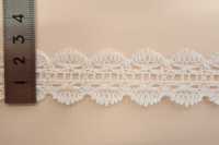 DS5153 Lace COTTON LACE Daisada Sub Photo