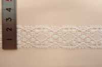 DS5168 Lace COTTON LACE Daisada Sub Photo