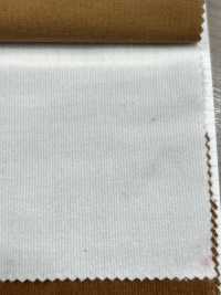 2700 27W Slender Corduroy Exposed[Textile / Fabric] Kumoi Beauty (Chubu Velveteen Corduroy) Sub Photo