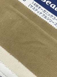 OG2180 14W Cotton/organic Corduroy[Textile / Fabric] Kumoi Beauty (Chubu Velveteen Corduroy) Sub Photo