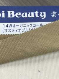 OG2180 14W Cotton/organic Corduroy[Textile / Fabric] Kumoi Beauty (Chubu Velveteen Corduroy) Sub Photo