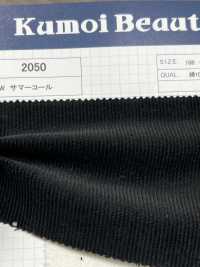 2050 14W Summer Corduroy[Textile / Fabric] Kumoi Beauty (Chubu Velveteen Corduroy) Sub Photo