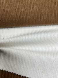CF2070 14W C/F Summer Corduroy[Textile / Fabric] Kumoi Beauty (Chubu Velveteen Corduroy) Sub Photo