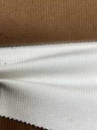 CF2070 14W C/F Summer Corduroy[Textile / Fabric] Kumoi Beauty Sub Photo