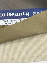 OG7080 9W Organic Trouser Corduroy[Textile / Fabric] Kumoi Beauty (Chubu Velveteen Corduroy) Sub Photo