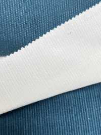 TC1685 14W T/C Slab Call Weather Bleaching[Textile / Fabric] Kumoi Beauty Sub Photo