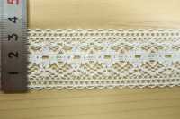 DS2900 Cotton Lace Width: 35mm Daisada Sub Photo