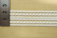 DS8144 Cotton Lace Width: 23mm Daisada Sub Photo