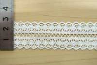 DS798 Cotton Lace Width: 23mm Daisada Sub Photo