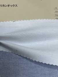 3351 American Oxford[Textile / Fabric] ARINOBE CO., LTD. Sub Photo