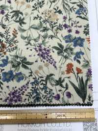 4023-1755-1 21W Corduroy[Textile / Fabric] HOKKOH Sub Photo