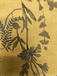 4023-1755-7 21W Corduroy[Textile / Fabric] HOKKOH Sub Photo