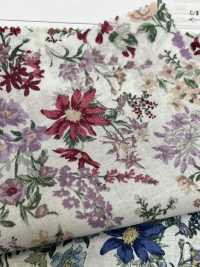 4023-1670-1 60 Lawn[Textile / Fabric] HOKKOH Sub Photo