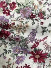 4023-1670-1 60 Lawn[Textile / Fabric] HOKKOH Sub Photo