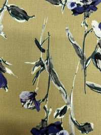 4023-250-1 40 Broadcloth Vintage[Textile / Fabric] HOKKOH Sub Photo